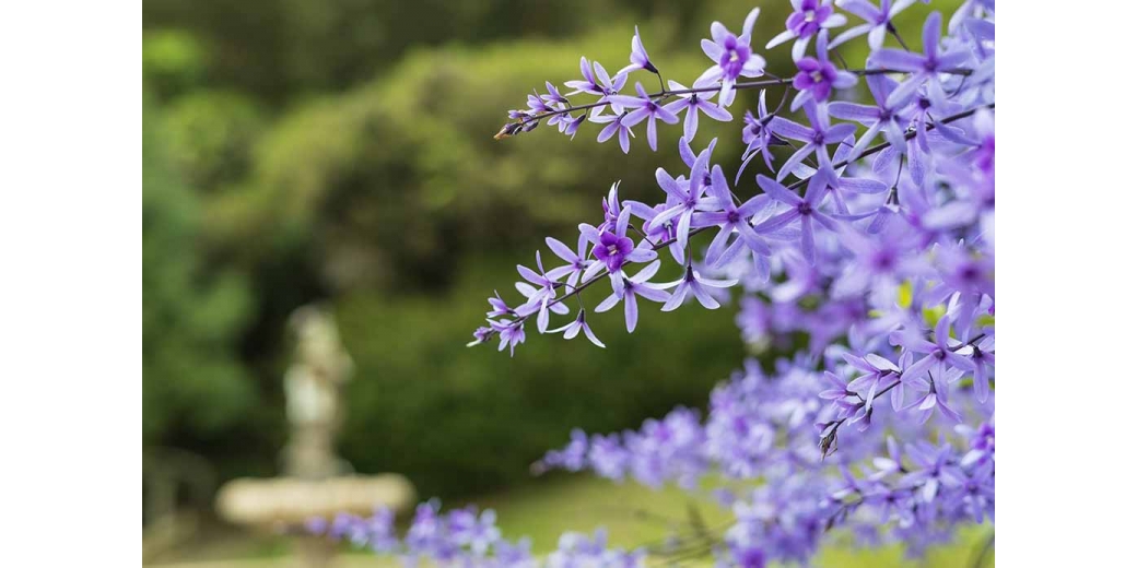 羅浮溫泉湯池推薦店家~普拉多山丘假期民宿
