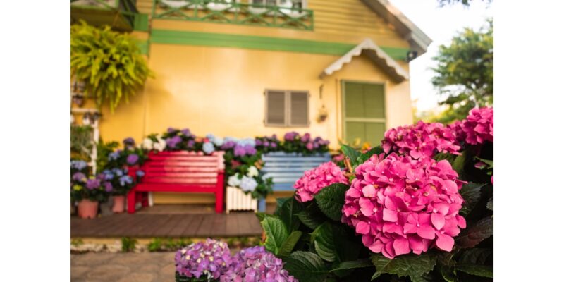 羅浮溫泉湯池推薦店家~普拉多山丘假期民宿