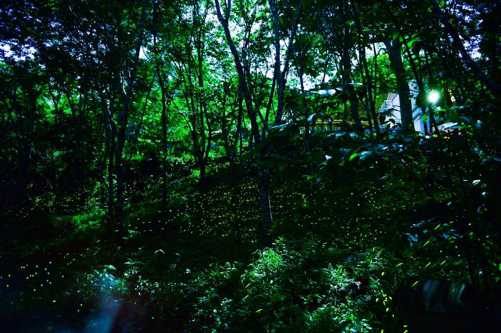 羅浮溫泉湯池推薦店家~秘境瀑布民宿