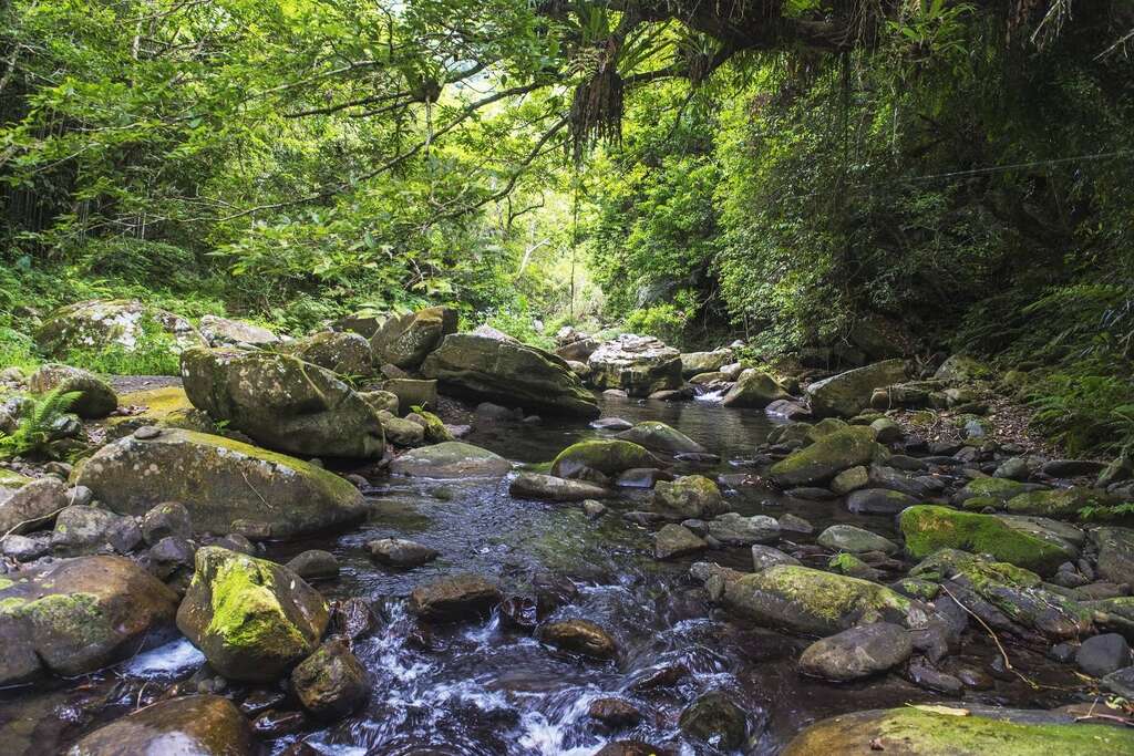 羅浮溫泉湯池推薦店家~秘境瀑布民宿