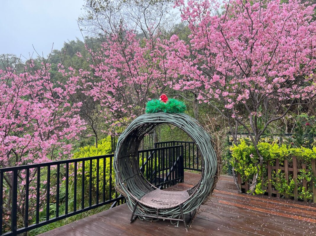 羅浮溫泉湯池推薦店家~丸山咖啡