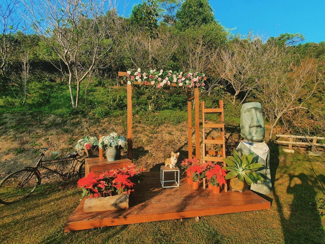 羅浮溫泉湯池推薦店家~丸山咖啡