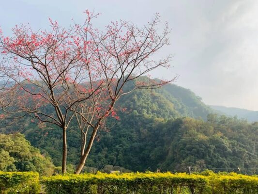 羅浮溫泉湯池推薦店家~小烏來山莊