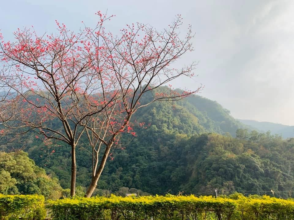 羅浮溫泉湯池推薦店家~小烏來山莊