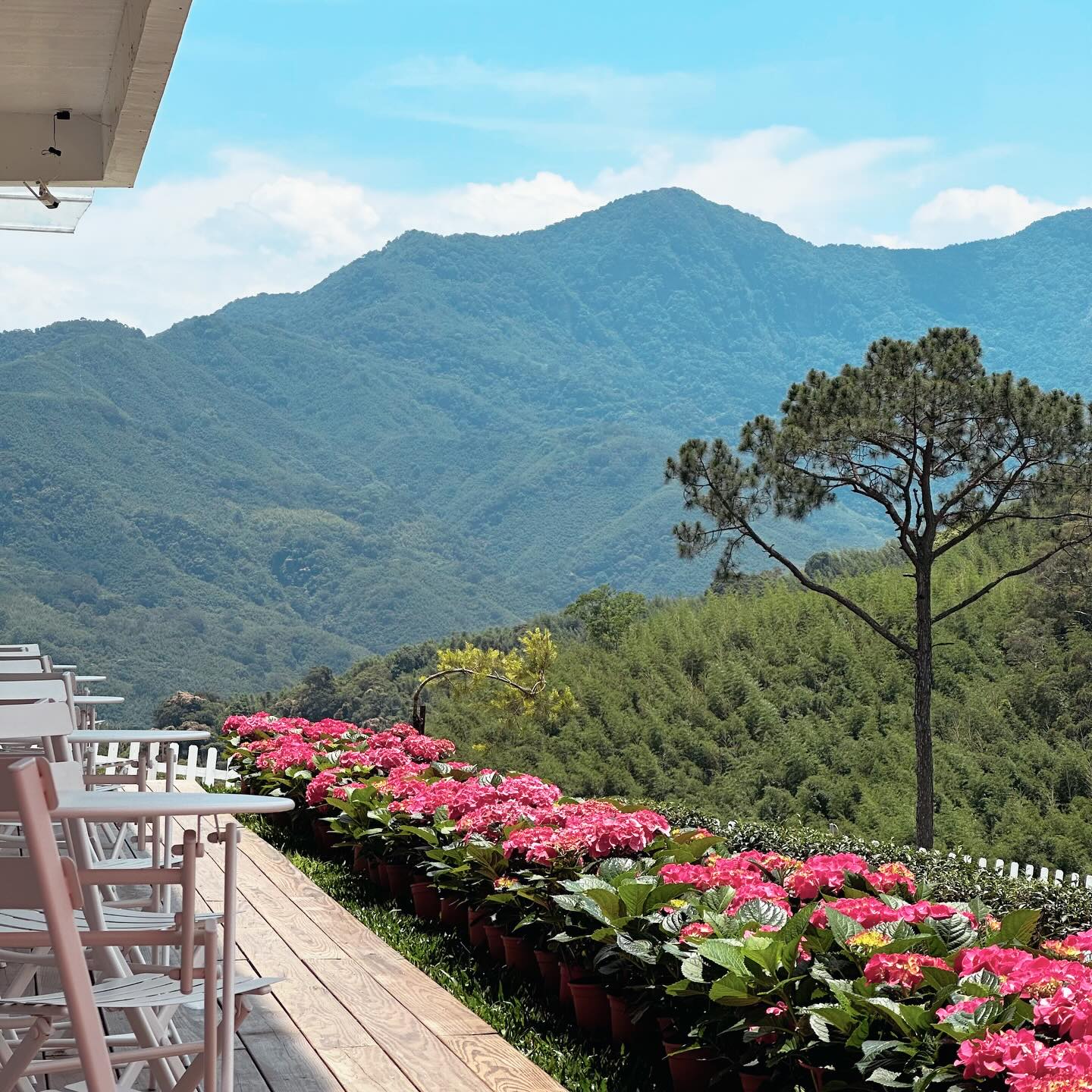 羅浮溫泉湯池推薦店家~山月茶屋