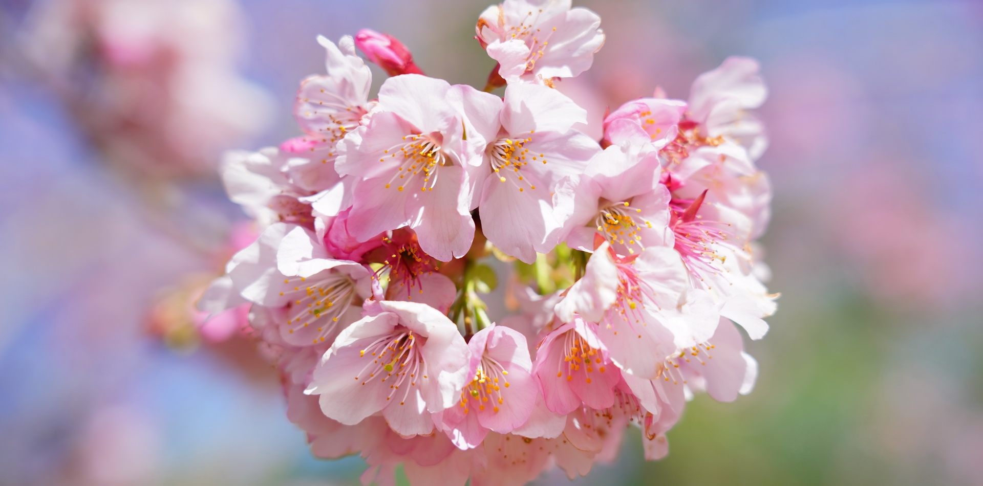 羅浮溫泉湯池推薦店家~恩愛農場