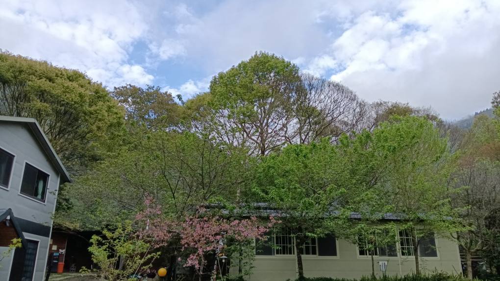 羅浮溫泉湯池推薦店家~薔薇谷民宿